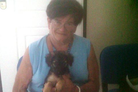 Cucciolo con la sua nuova mamma